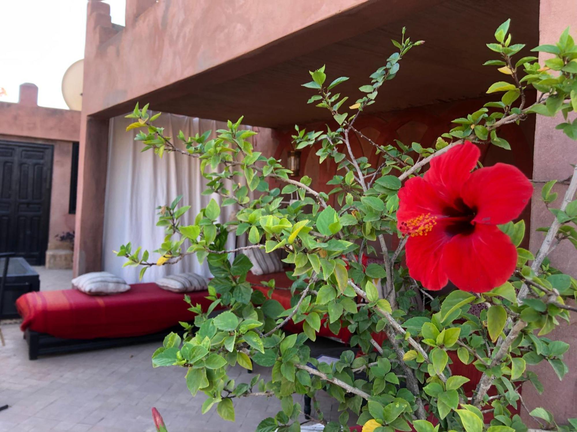 Dar Fangui Hotel Marrakesh Ngoại thất bức ảnh